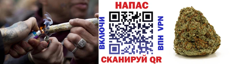 Шишки марихуана планчик Железноводск